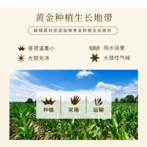 Jihua MSG 2kg