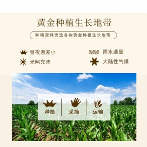 Shengxian Premium Monosodium Glutamate 100g